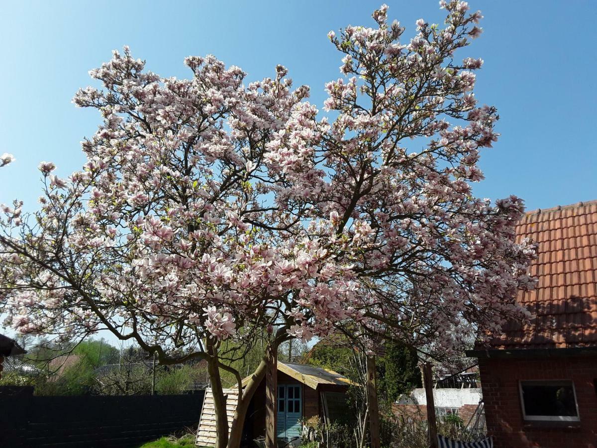 Ostfriesland